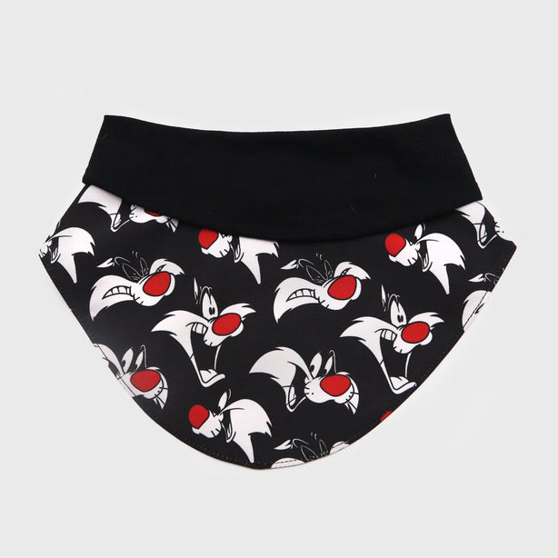 Looney Tunes Bib