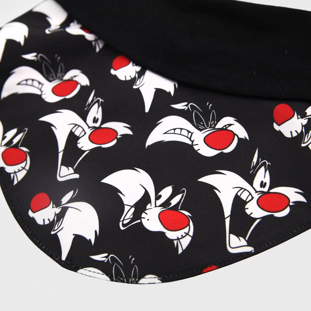 Looney Tunes Bib