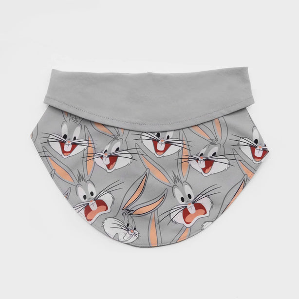 Looney Tunes Bib