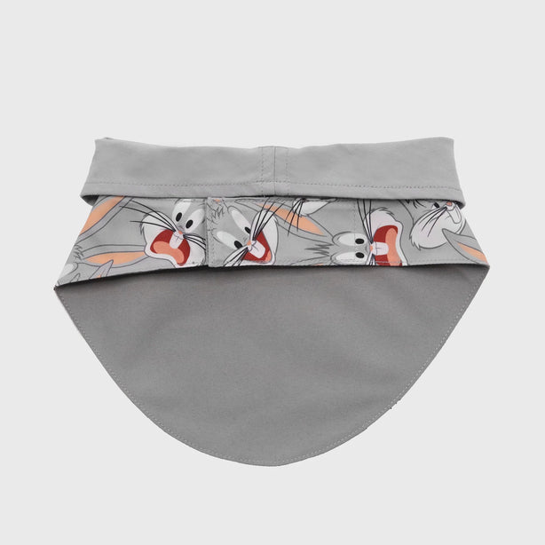 Looney Tunes Bib