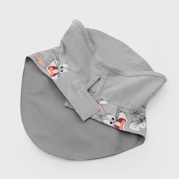 Looney Tunes Bib