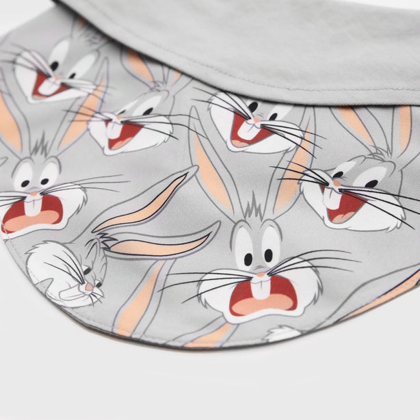 Looney Tunes Bib