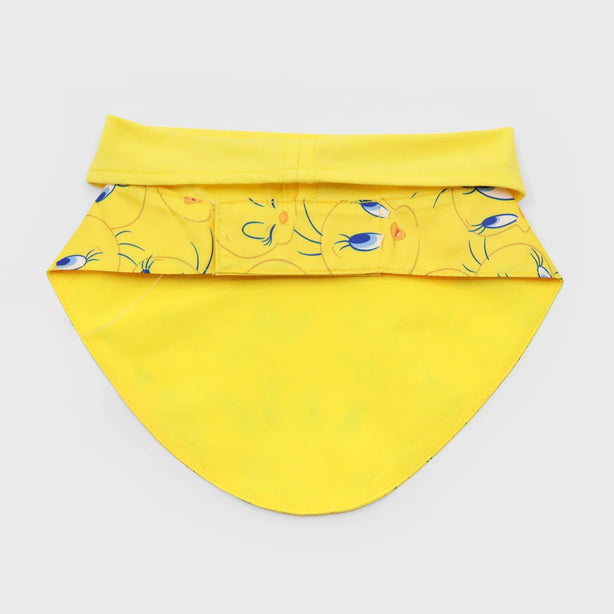 Looney Tunes Bib