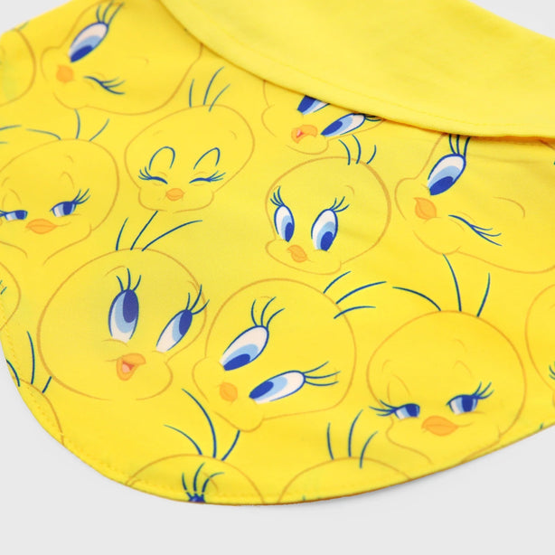 Looney Tunes Bib