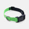 Tommy Hilfiger Webbing Collar