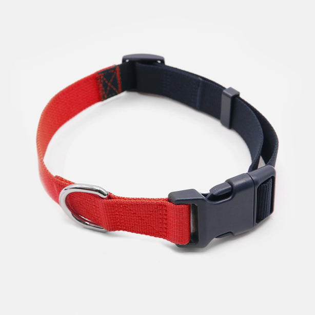 Tommy Hilfiger Webbing Collar