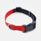 Tommy Hilfiger Webbing Collar