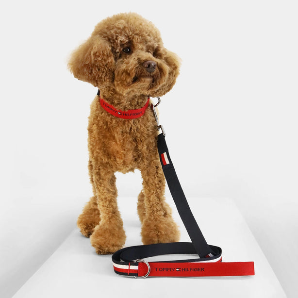 Tommy Hilfiger Webbing Leash