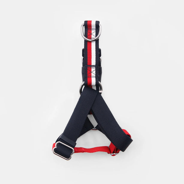 Tommy Hilfiger Color-Blocked Harness