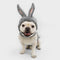 Bugs Bunny Costume