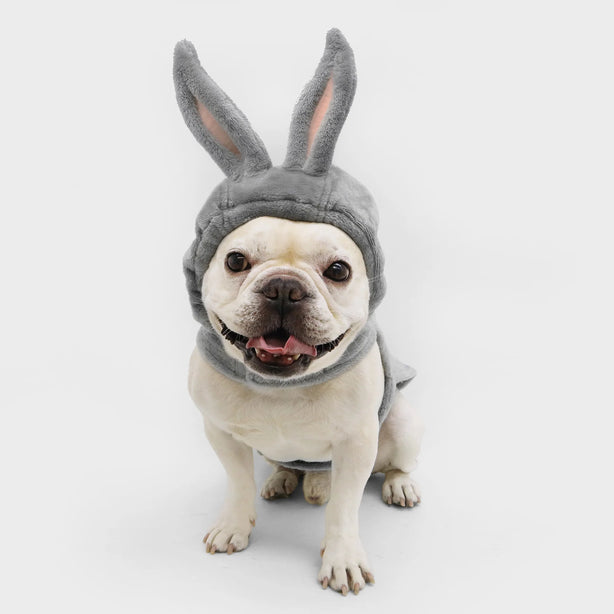 Bugs Bunny Costume