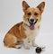 BOSS Dog Tennis Ball Set