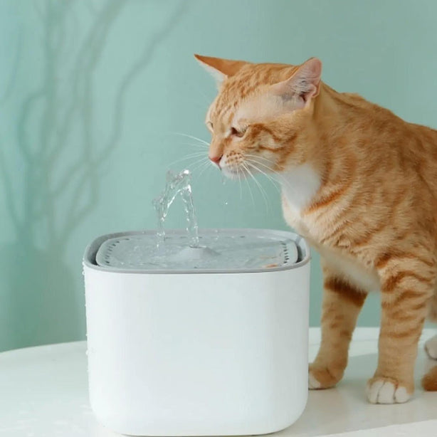 LEASh Pet Water Fountain