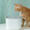 LEASh Pet Water Fountain