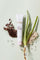 Pretti5 Just Hand Cream 45g