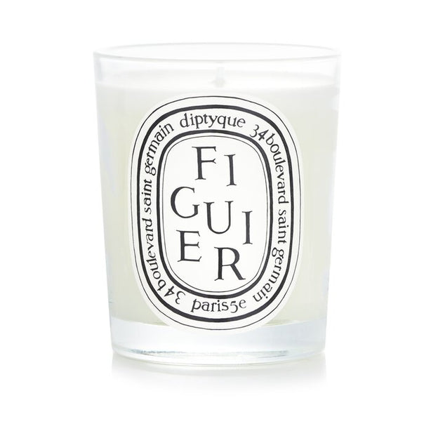 Scented Candle - Figuier (fig Tree) -