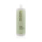 Clean Beauty Anti-frizz Shampoo