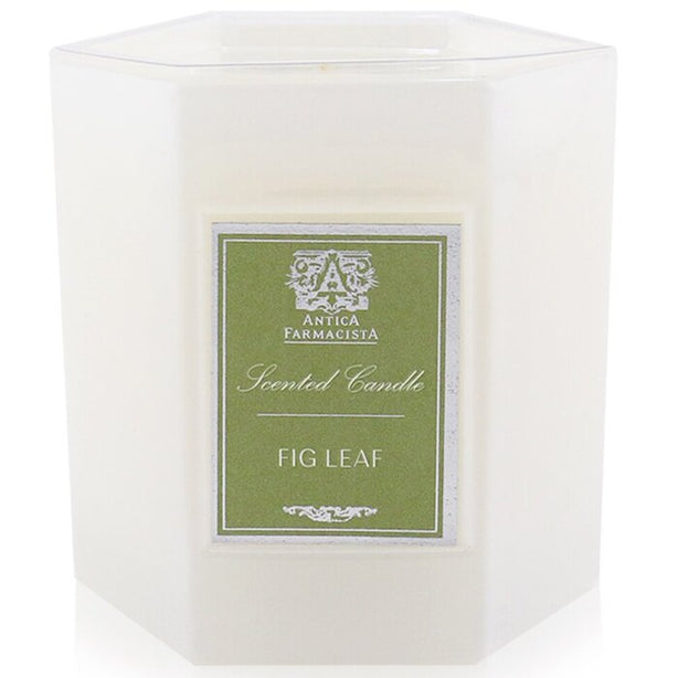 Candle - Fig Leaf - 255g/9oz