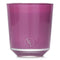 Purple Fig Scented Candle - 200g/7.05oz