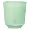Vert Eucalyptus Candle - 200g/7.05oz