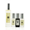 White Moss & Snowdrop Scent Pairing Collection - 4pcs