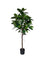 Pollyanna Ficus Elastica (UV Resistant) - 160cm