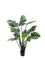 Pollyanna Monstern Leaf Plant - 150cm