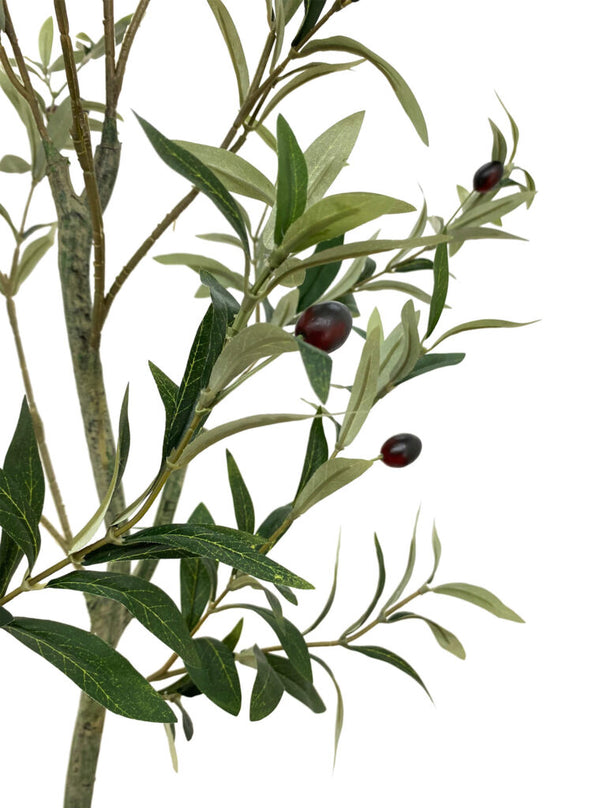 Pollyanna Olive Tree - 120cm – Robinsons Singapore