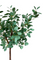 Pollyanna Eucalyptus Gunnii (UV Resistant) - 120cm