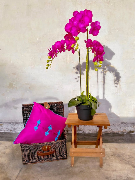 Pollyanna 3 Stalk Phalenopsis Orchid (Fuschia)