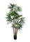 Pollyanna Honey Lady Palm Tree (UV Resistant) -160cm