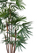 Pollyanna Honey Lady Palm Tree (UV Resistant) -160cm