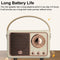 StitchesandTweed Stereo Portable Vintage Speaker, HiFi Grade Sound Speaker - Black