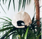Otterwise Cap