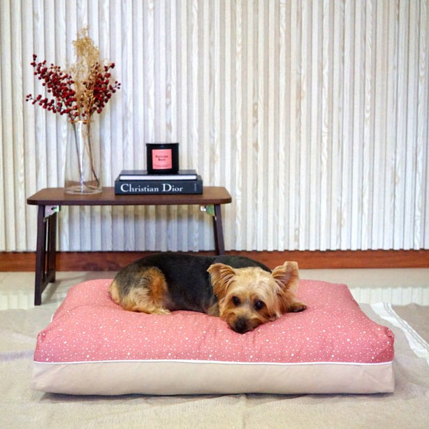 Dreamcastle Cooling Dog Bed Little Star