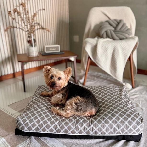 Dreamcastle Cooling Dog Bed Rain
