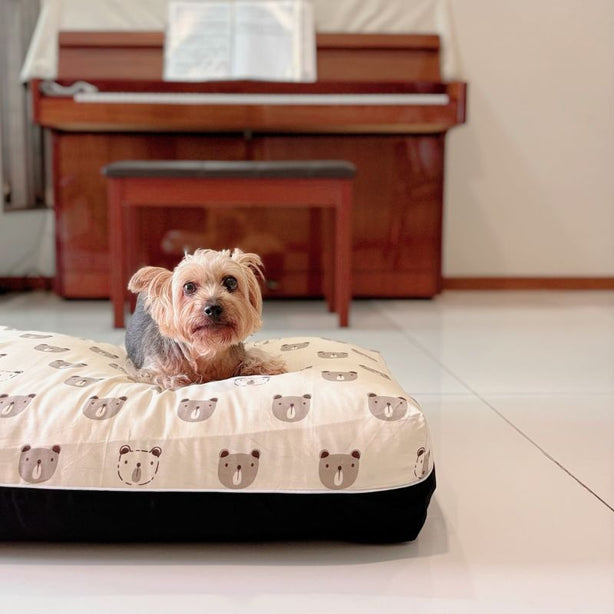 Dreamcastle Cooling Dog Bed Scandinavian Bear