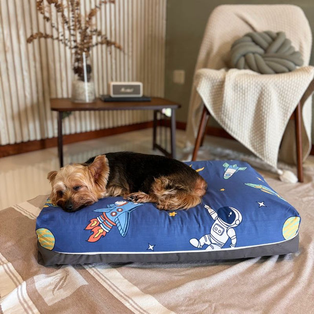 Dreamcastle Cooling Dog Bed Space Shuttle