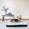 Dreamcastle Cooling Dog Bed Marshalle