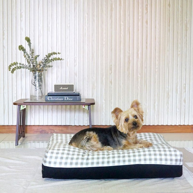 Dreamcastle Cooling Dog Bed Marshalle