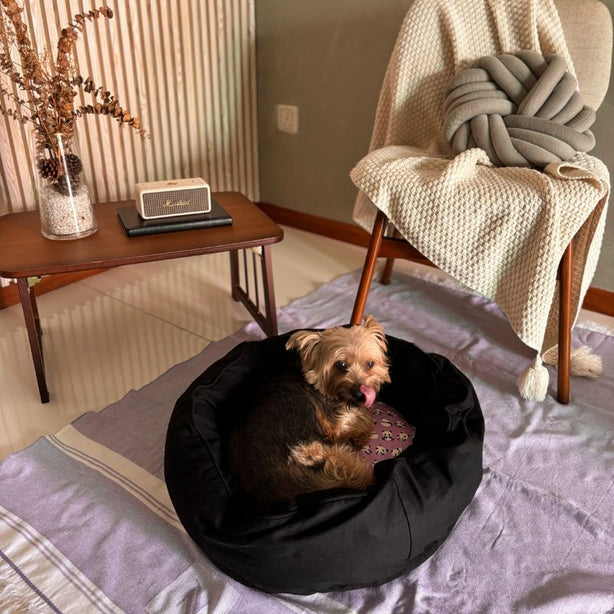 Dreamcastle Cooling Round Dog Bed Panda