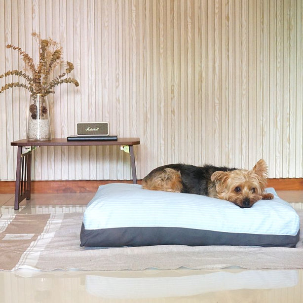 Dreamcastle Cooling Dog Bed Sky