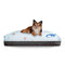 Dreamcastle Cooling Dog Bed Dino