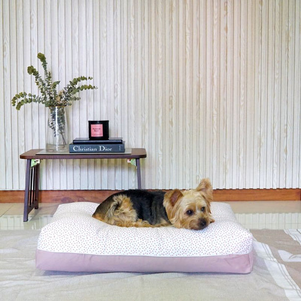 Dreamcastle Cooling Dog Bed Priscilla