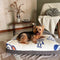 Dreamcastle Cooling Dog Bed Space