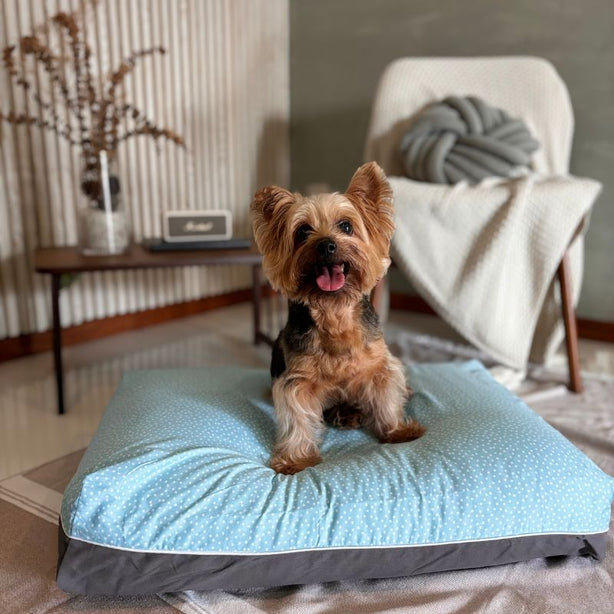 Dreamcastle Cooling Dog Bed Nightstar