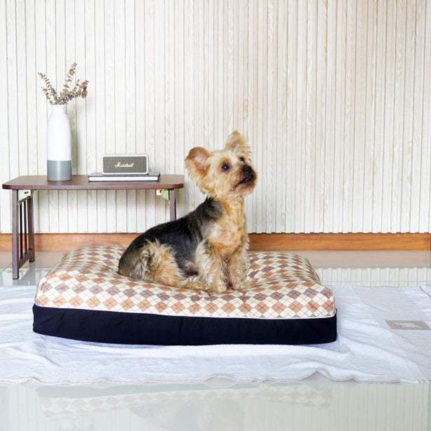 Dreamcastle Cooling Dog Bed Oxford