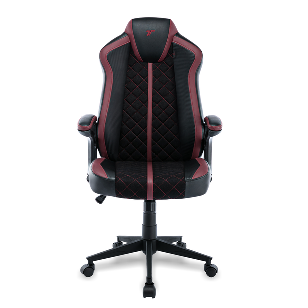 TTRacing Duo V4 Gaming Chair