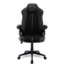 TTRacing Duo V4 Gaming Chair