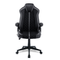 TTRacing Duo V4 Gaming Chair